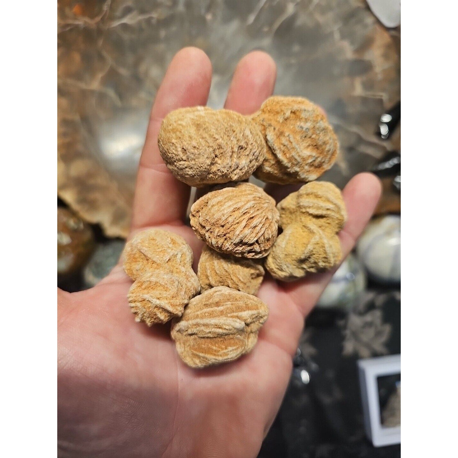 Desert Rose Selenite Mineral Specimen — Clarity & Stress Relief Crystal | CrystalCloud Company