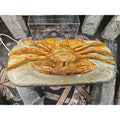 Mao Gong Shi Crab Skull - 7.9LB Hand-Carved Specimen | CrystalCloud Company