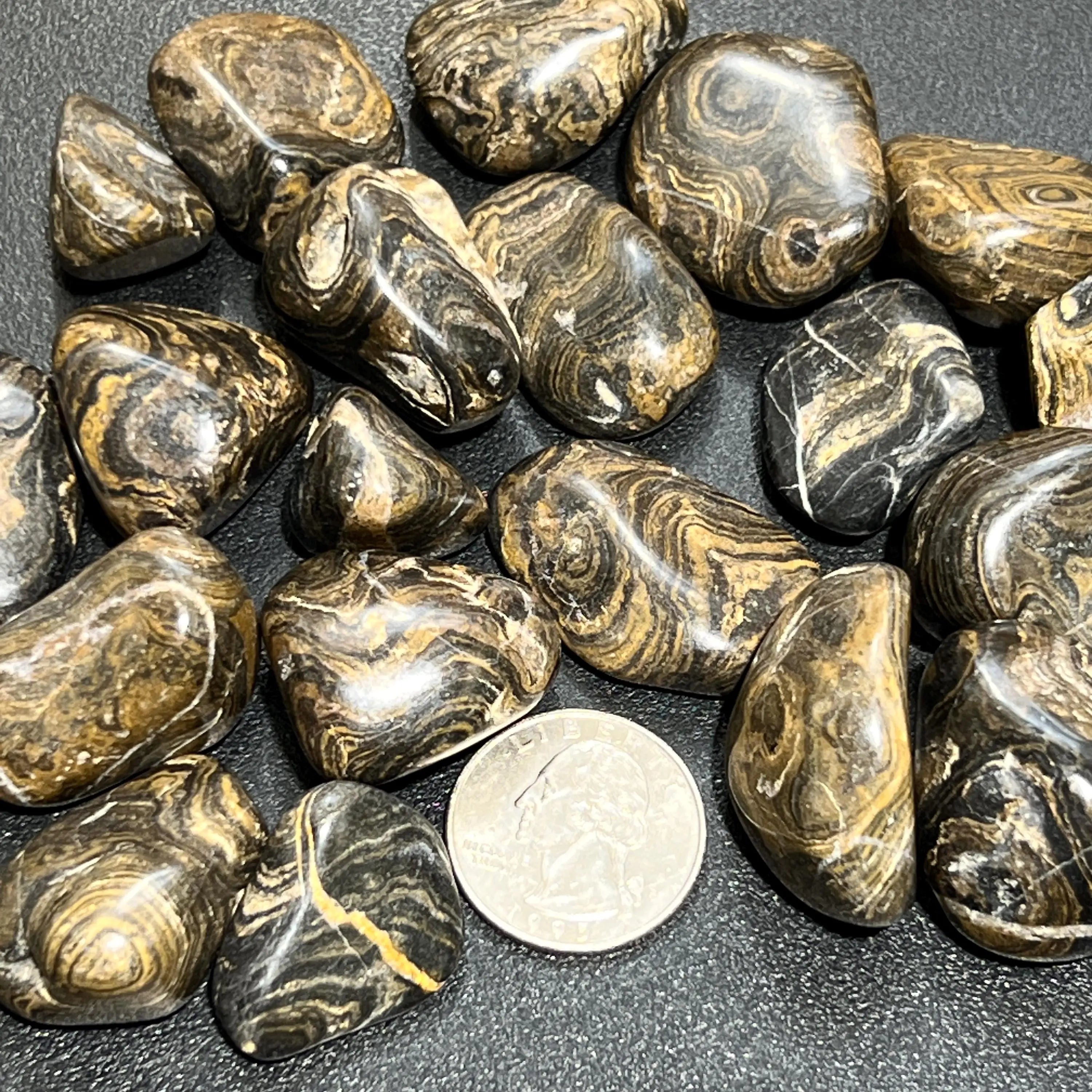 Stromatolite Fossil Tumbled Stones (By The Piece or Pound) | Home & Living > Home Decor > Home Accents > Rocks & Geodes | Wiccan Center
