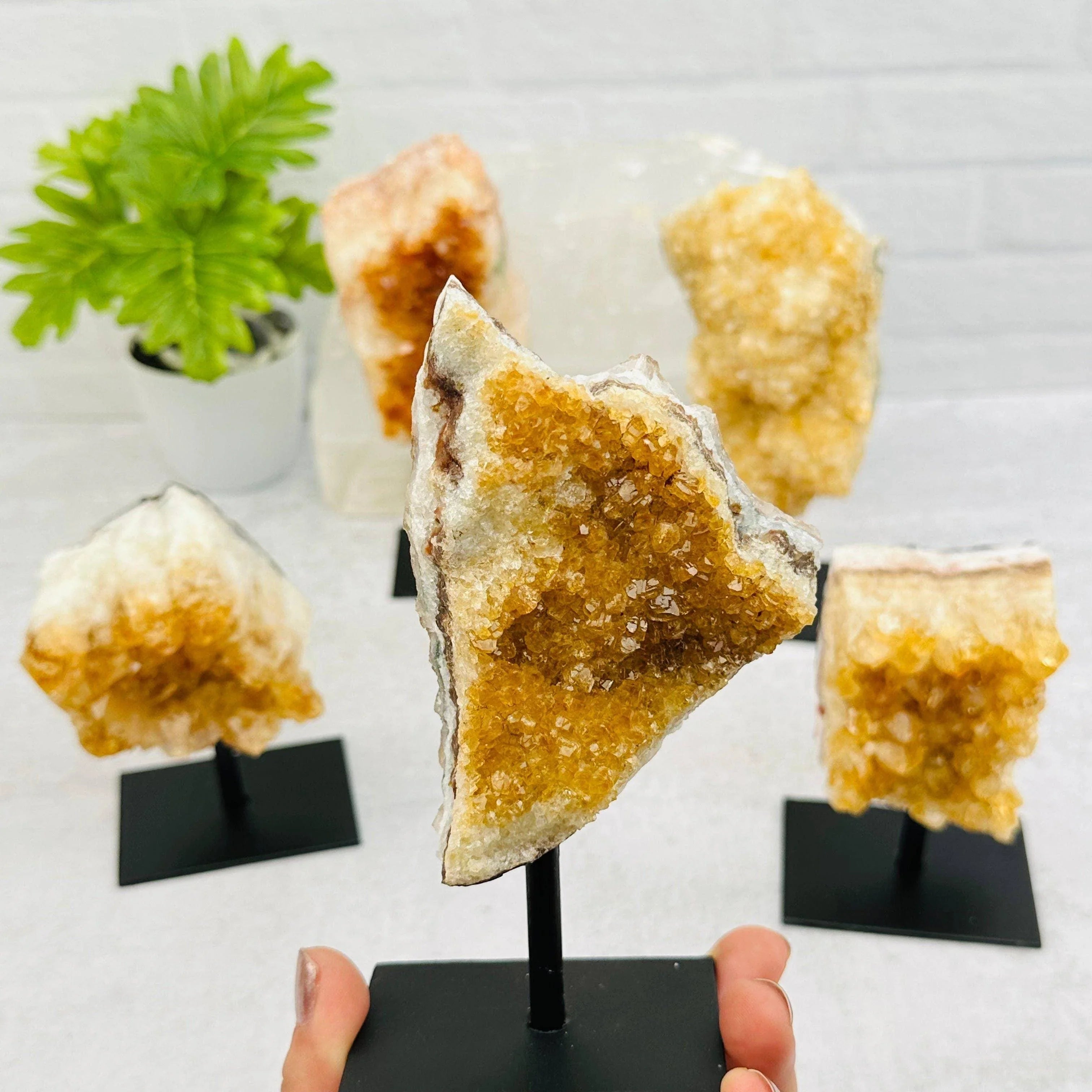 Citrine Cluster on Metal Stand