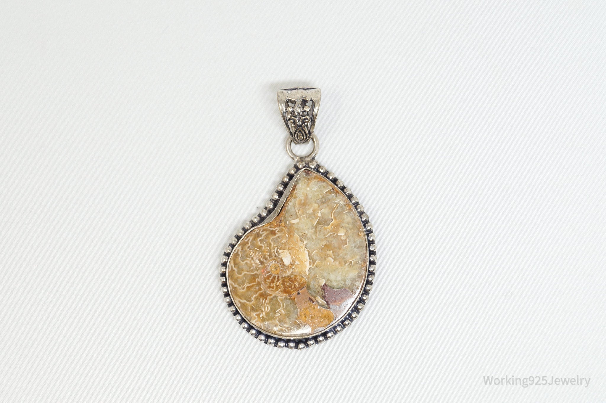 Vintage Large Ammonite Fossil Shell Sterling Silver Necklace Pendant | Jewelry > Necklaces > Pendants | Wiccan Center