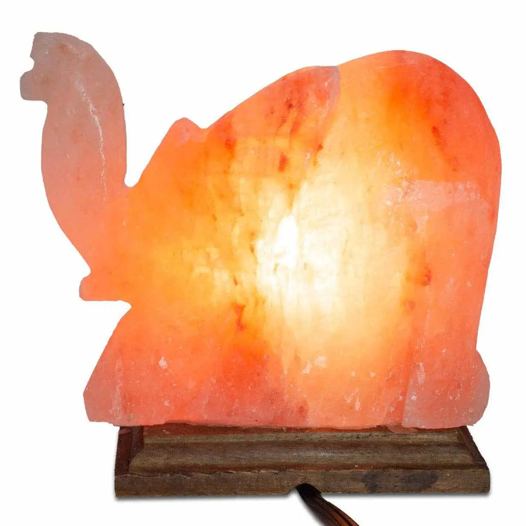 Elephant Shaped Salt Lamp - 9" avg. - Cord, Bulb, Dimmer | Lamp | Wiccan Center