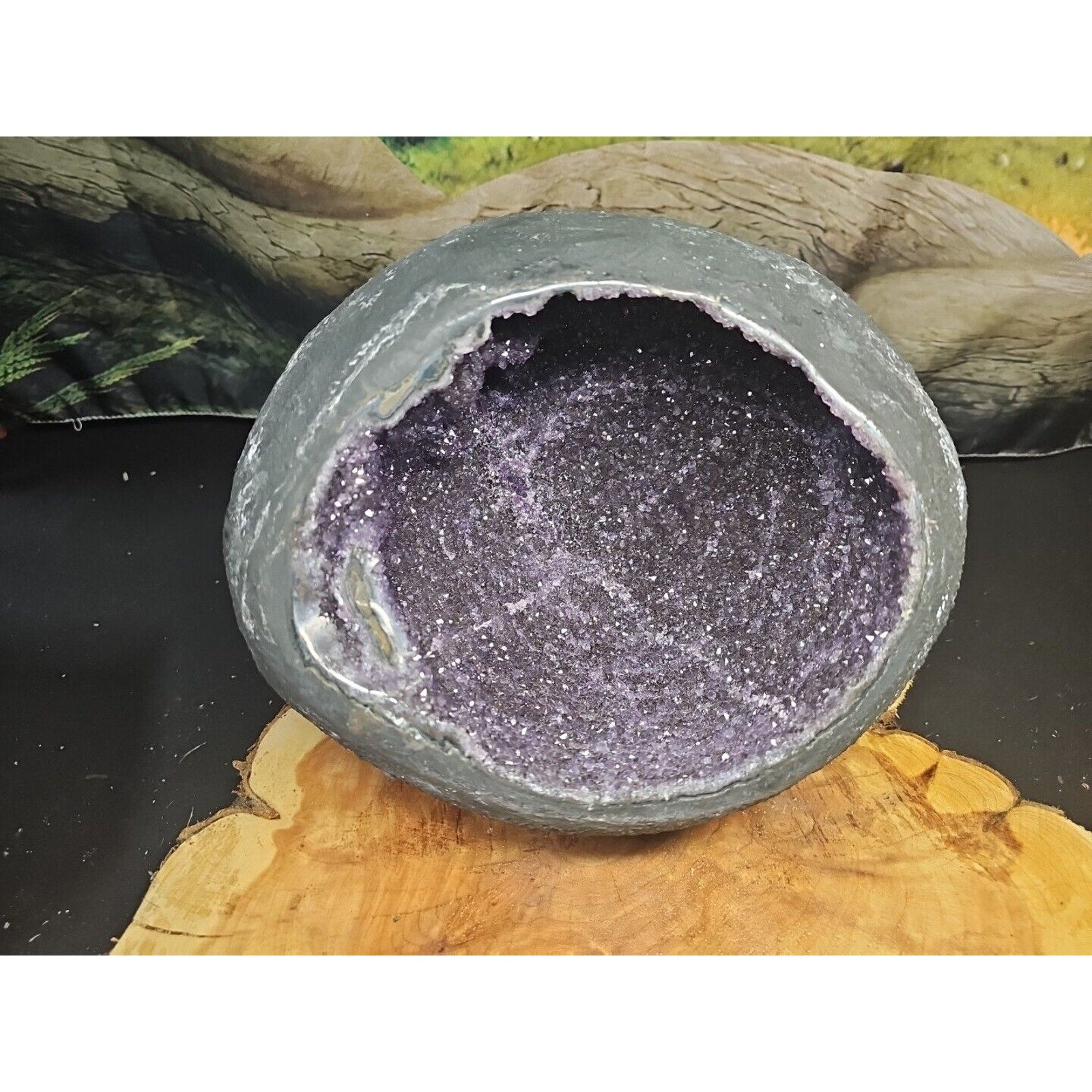 Raw Amethyst Money Bag Geode — 16.8 lbs, Abundance & Reiki Energy Crystal | CrystalCloud Company | Geodes & Clusters | Wiccan Center
