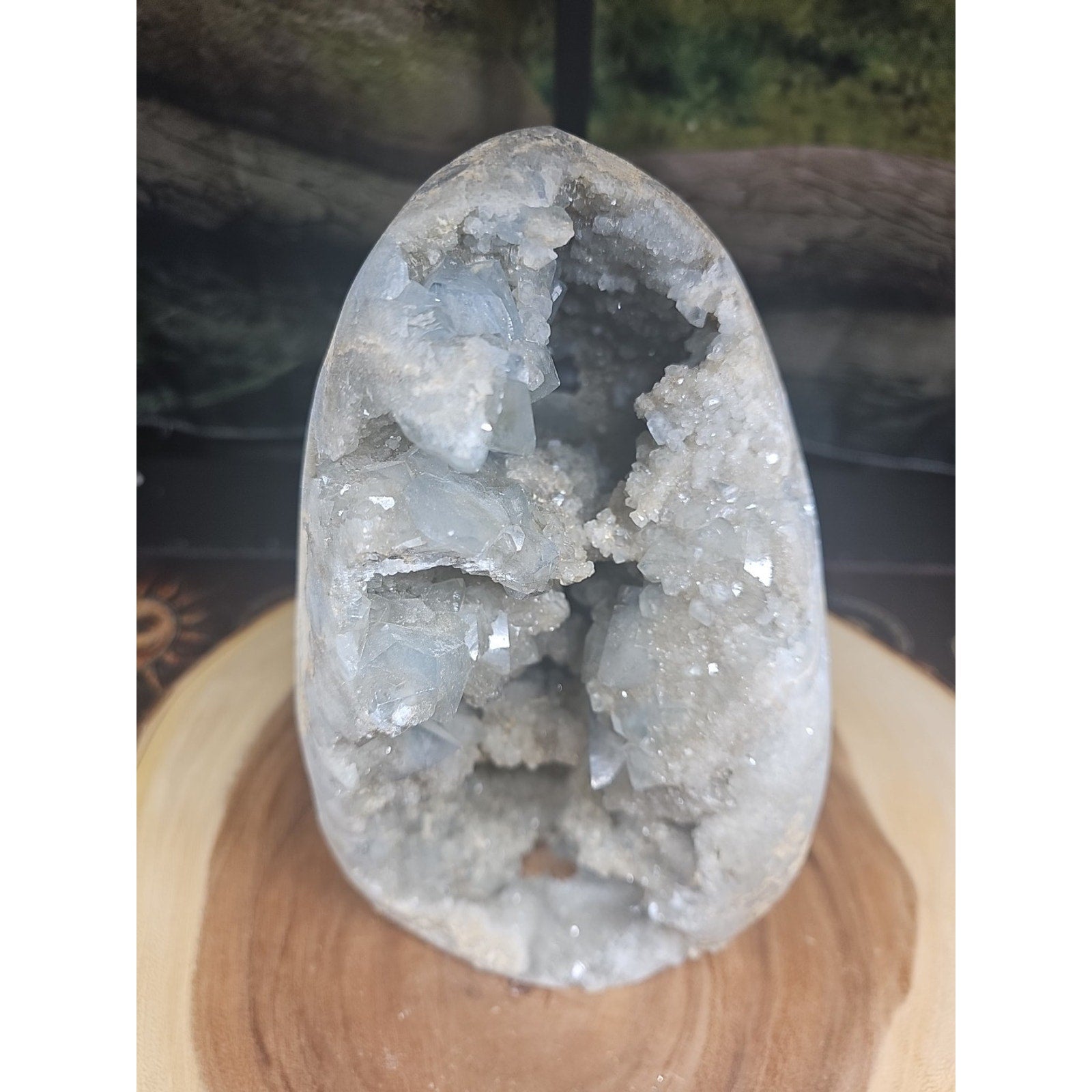 Large Baby Blue Celestite Geode Cluster — 13.6 lbs, 8 inches, Brazil | CrystalCloud Company | Geodes & Clusters | Wiccan Center