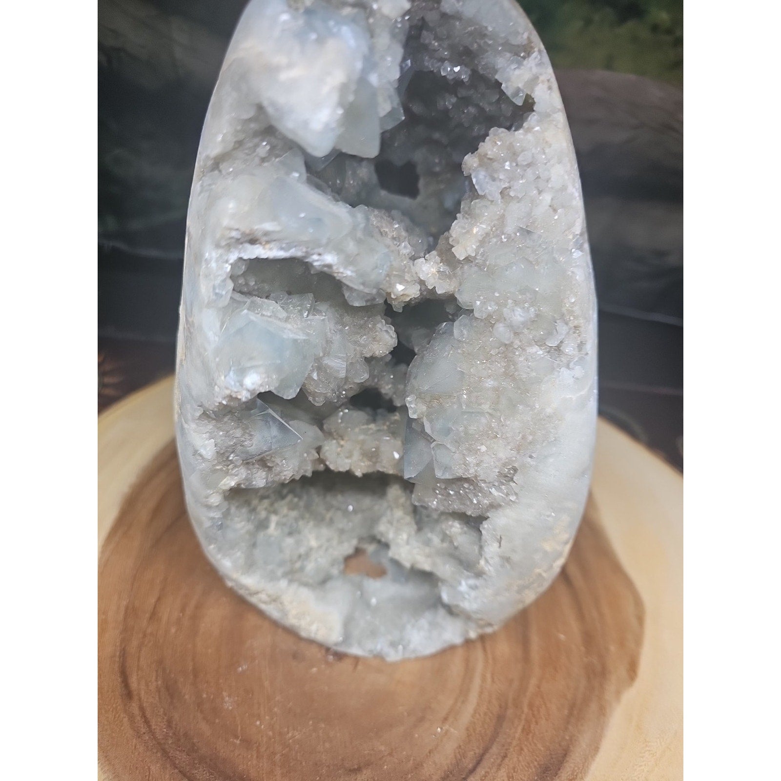 Large Baby Blue Celestite Geode Cluster — 13.6 lbs, 8 inches, Brazil | CrystalCloud Company | Geodes & Clusters | Wiccan Center