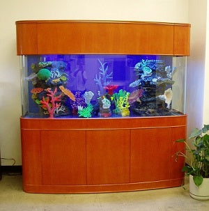 MONSTER TANK! 380 Gallon Seamless Glass Bowfront Reef-Ready Aquarium in Premium Cherry Real Wood Furniture | Pet Supplies > Fish & Aquariums > Aquariums & Tanks | Wiccan Center