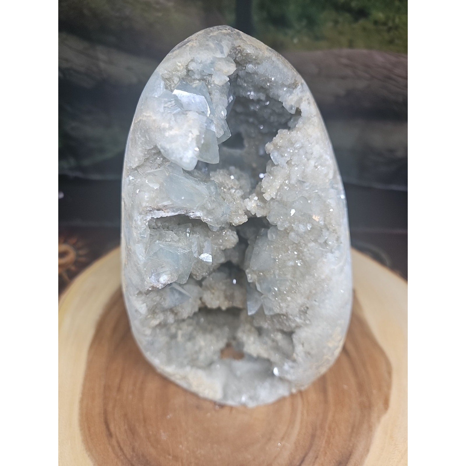 Large Baby Blue Celestite Geode Cluster — 13.6 lbs, 8 inches, Brazil | CrystalCloud Company | Geodes & Clusters | Wiccan Center