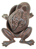 Frog Key Box | Keys & Keychains | Wiccan Center