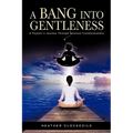 A Bang Into Gentleness: A Psychic's Journey Through Spiritual Transformations - Hardcover | Books | Wiccan Center