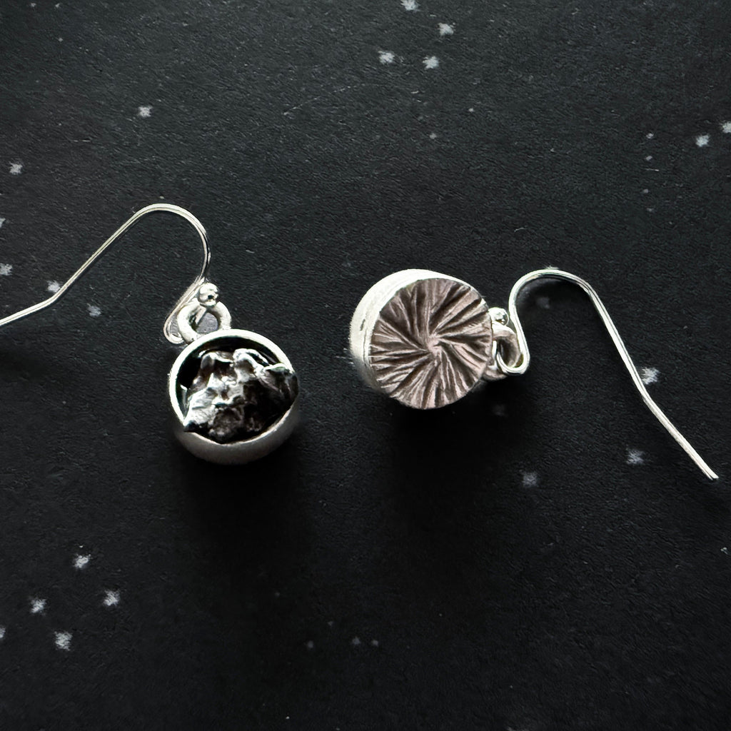 Small Round Raw Meteorite Dangle or Stud Earrings | Earrings | Wiccan Center