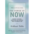 Practicing the Power of Now: Meditations, Exercises, and Core Teachings for Living the Liberated Life - Hardcover | Books | Wiccan Center