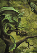 Forest Dragon Card | Anne Stokes Age of Dragons Cards | Wiccan Center