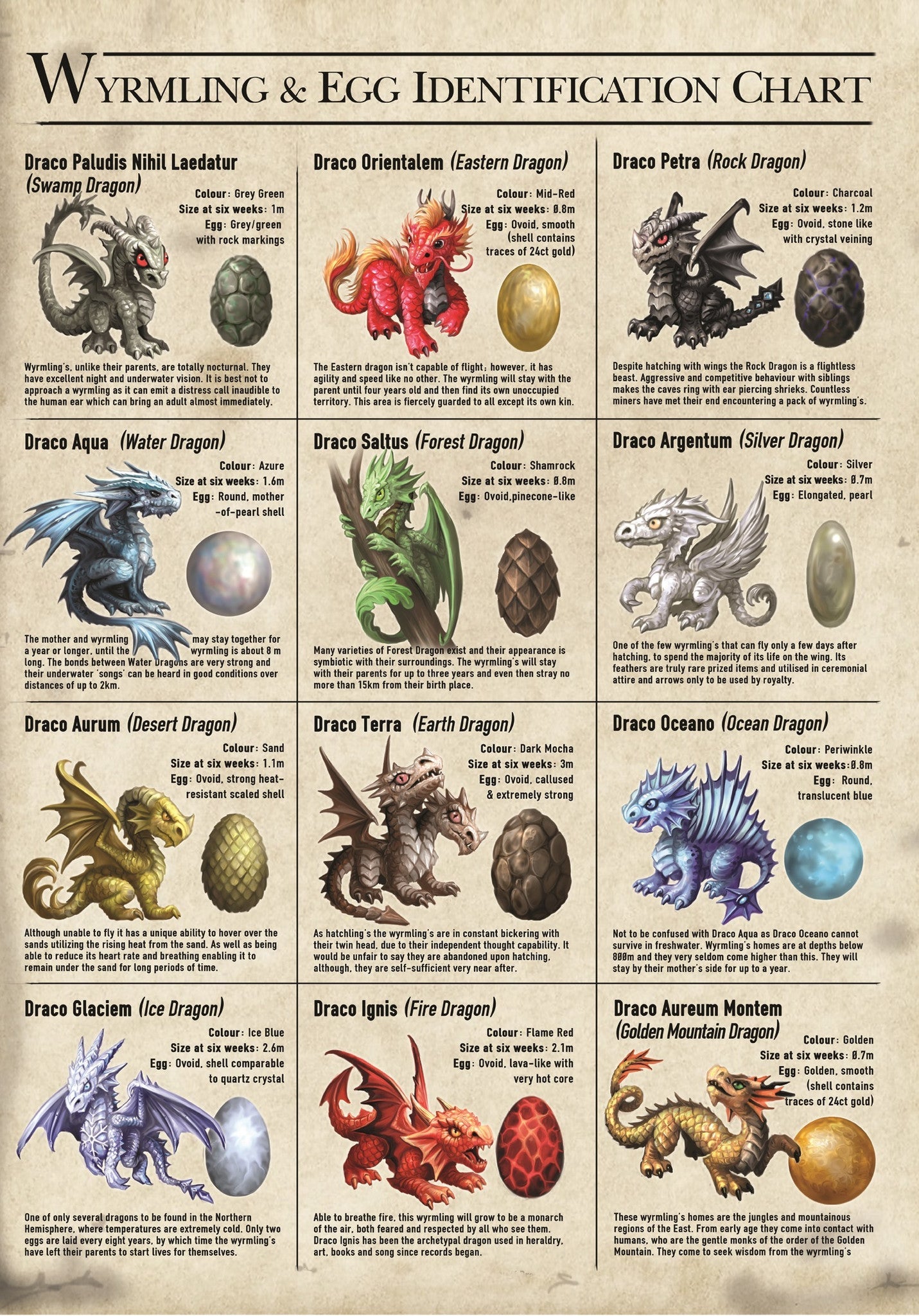 Wyrmlings Card | Anne Stokes Age of Dragons Cards | Wiccan Center