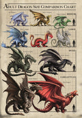 Size Chart Dragons Card | Anne Stokes Age of Dragons Cards | Wiccan Center