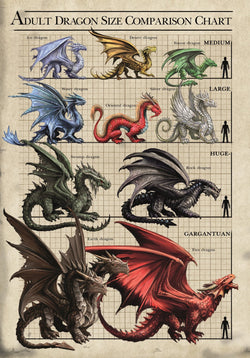 Size Chart Dragons Card | Anne Stokes Age of Dragons Cards | Wiccan Center