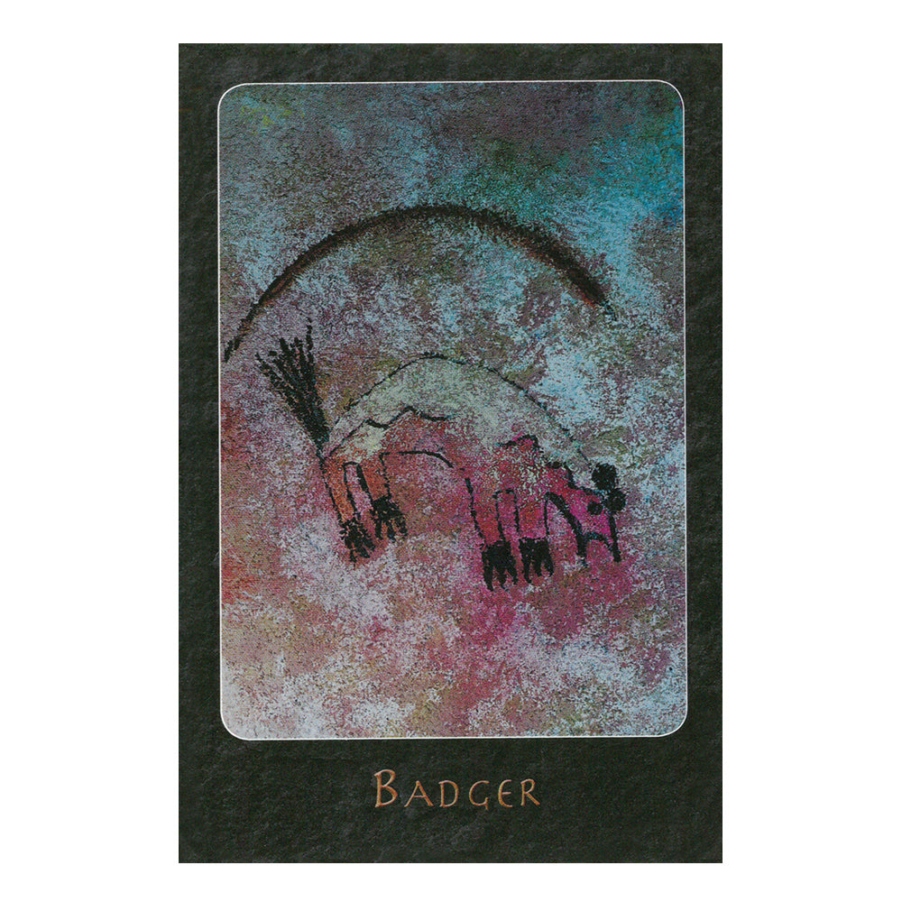 A Shaman Oracle: 40 Mythical Soul Images from the Indian Southwest | Tarot Cards | Wiccan Center