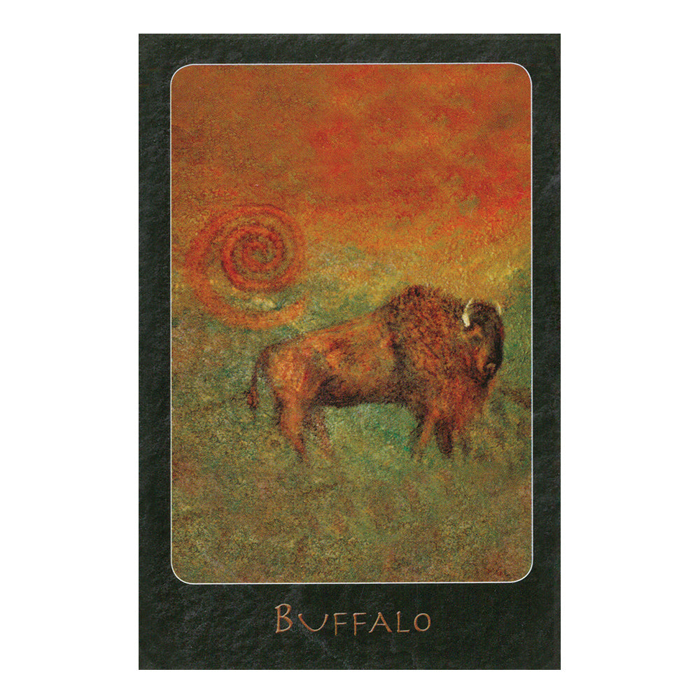 A Shaman Oracle: 40 Mythical Soul Images from the Indian Southwest | Tarot Cards | Wiccan Center