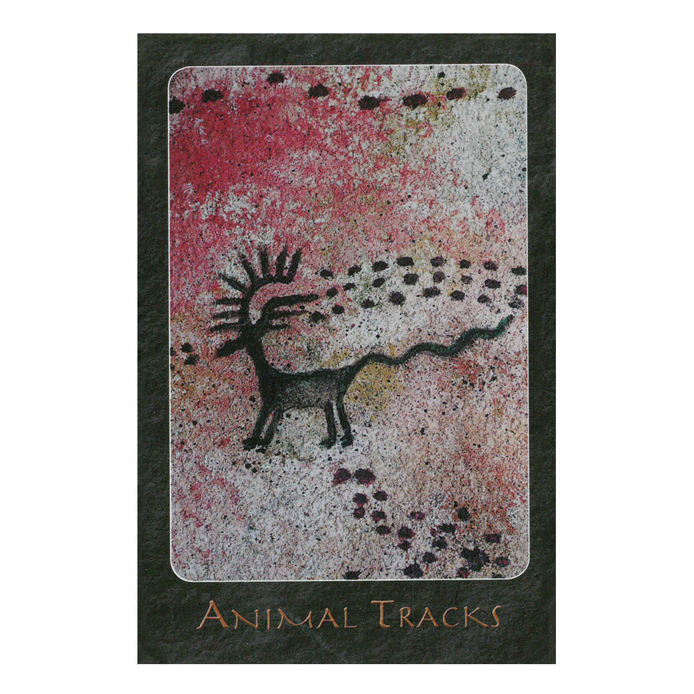A Shaman Oracle: 40 Mythical Soul Images from the Indian Southwest | Tarot Cards | Wiccan Center