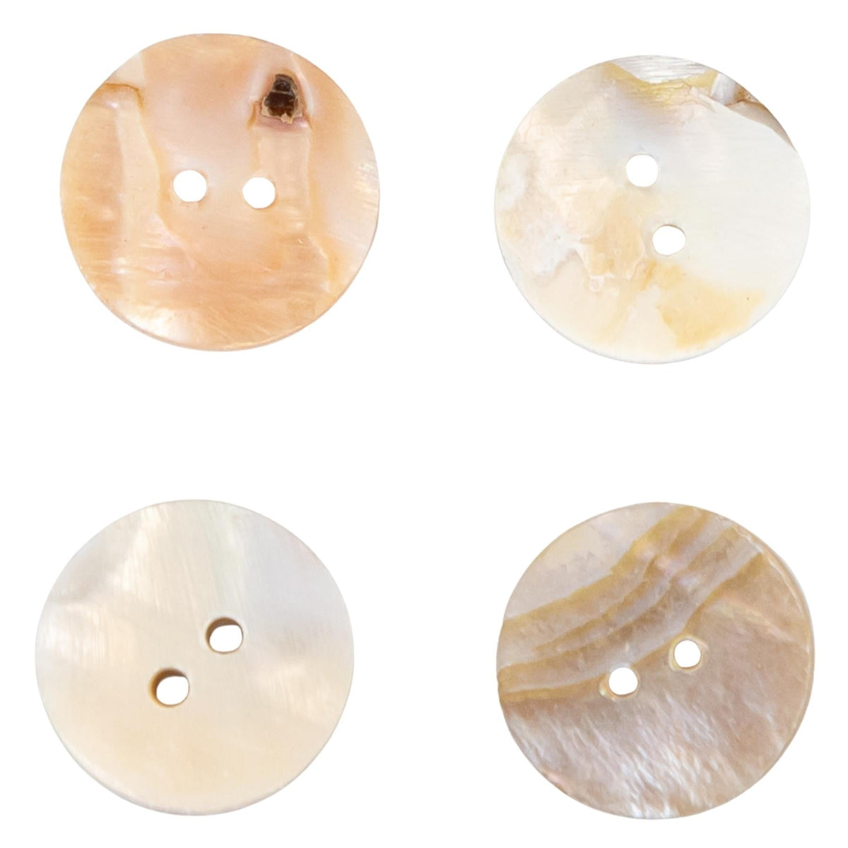 Abalone Shell Buttons