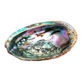 Abalone Shell 4" - 5" | Abalone Shell | Wiccan Center
