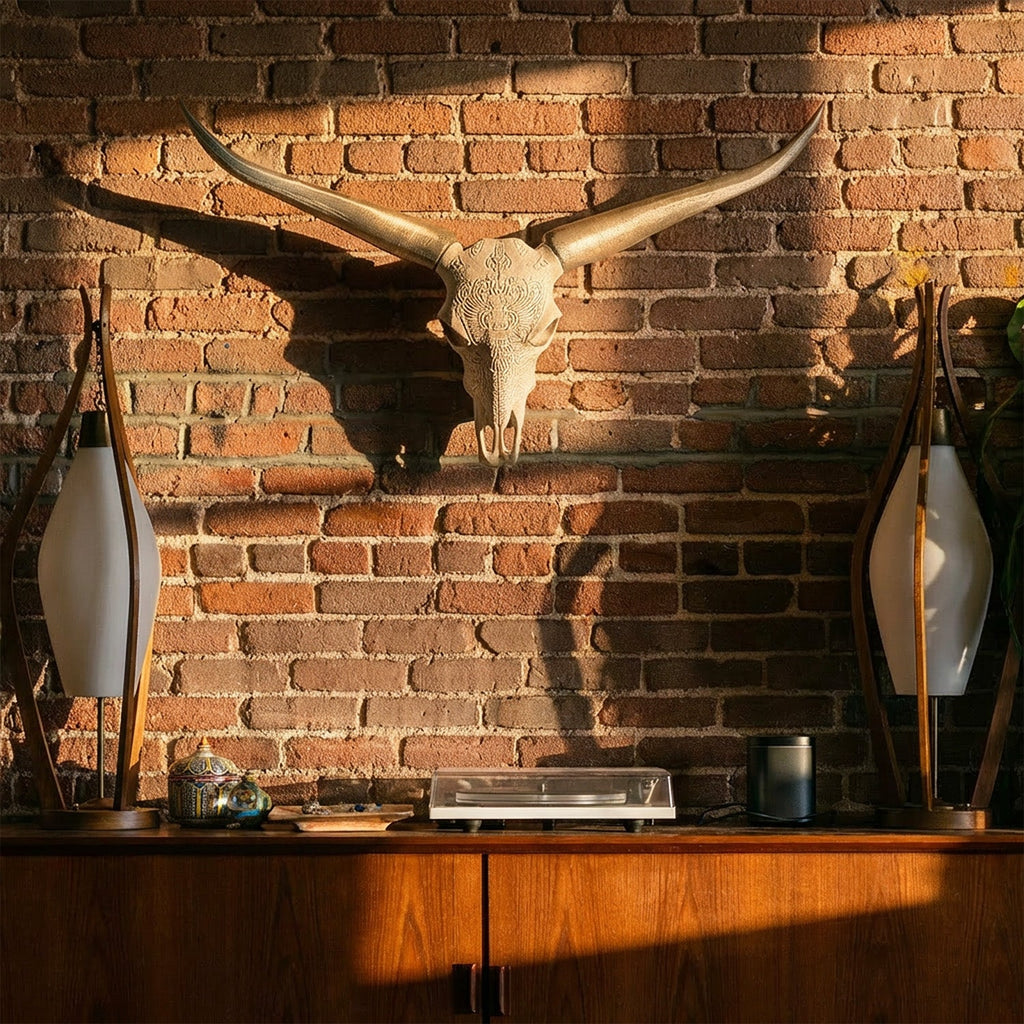 Decorative Steer Horns and Skull | Bull Horns | Wiccan Center