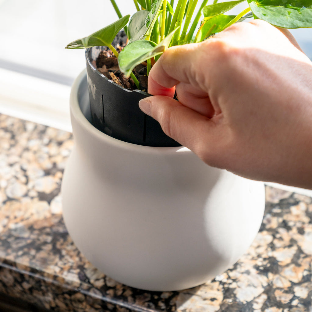 Ceramic Plant Pot with Rubber Liner - Alabaster White | Indoor Plant Pot | Wiccan Center
