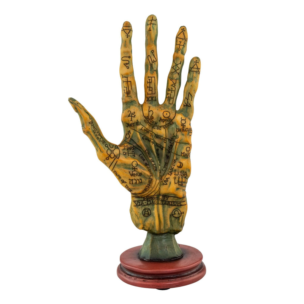 Alchemy Gothic Palmistry Hand | | Wiccan Center