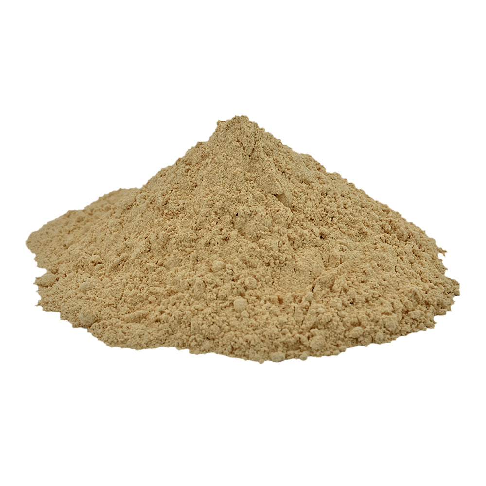 Aloe Vera Leaf Powder Herbs 1oz | Herbs | Wiccan Center