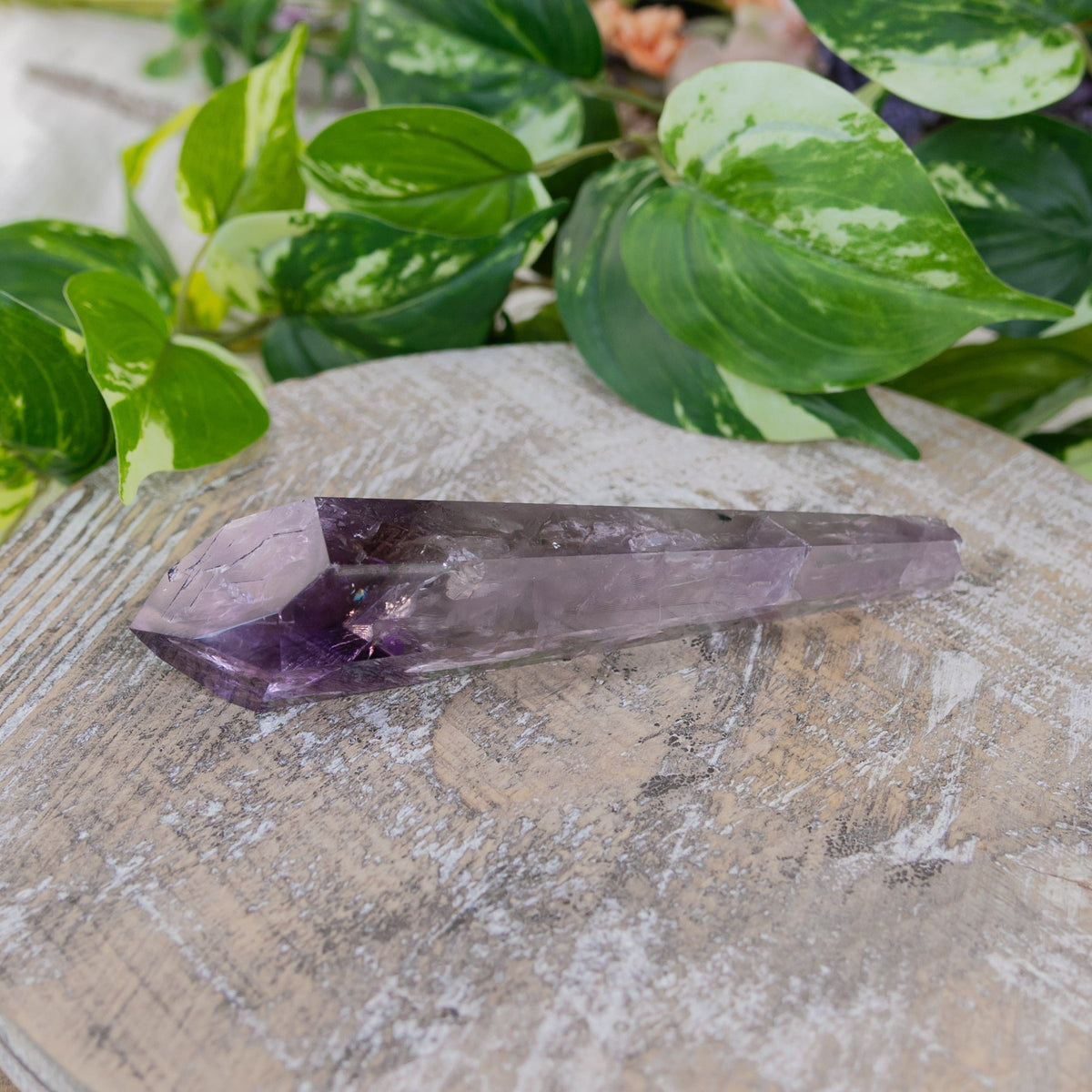 Amethyst Phantom Vogel | | Wiccan Center