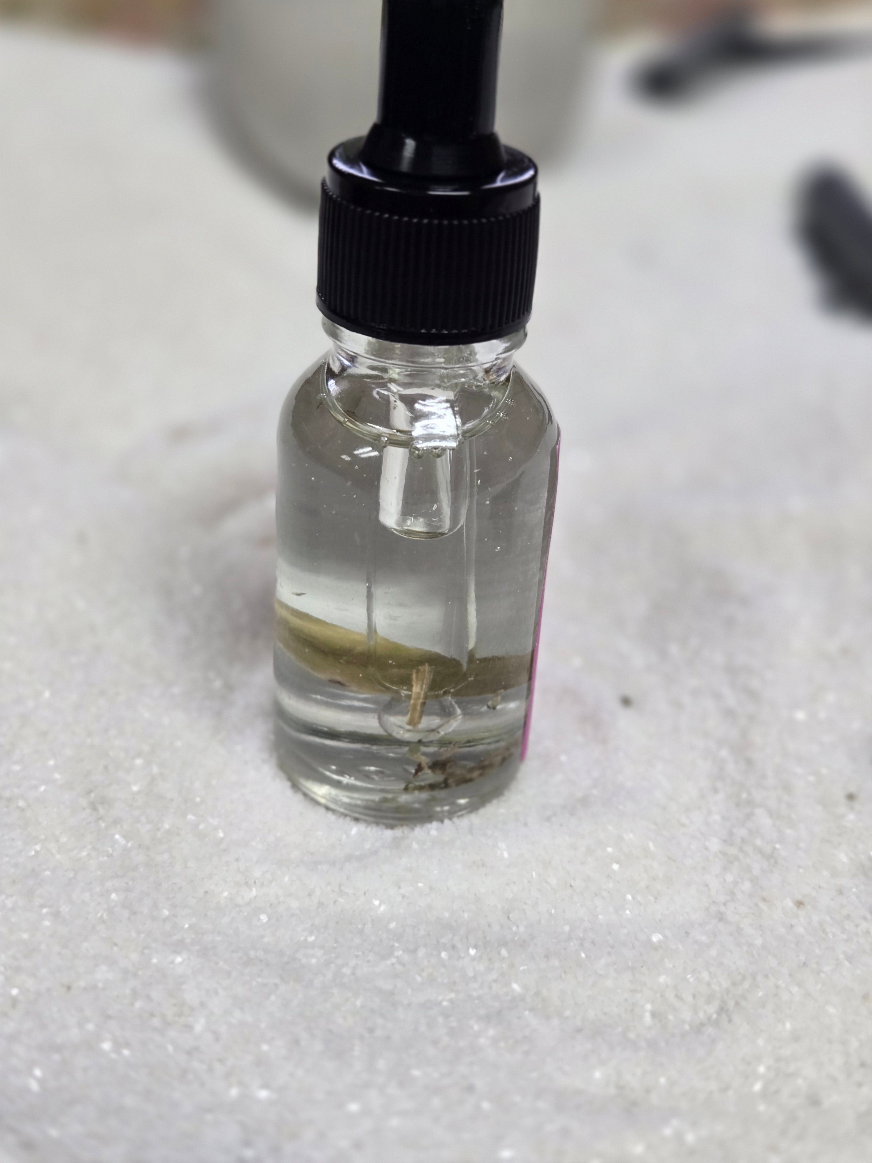 1901 Angel Oil - Divine Love & Soulmate Attraction Hoodoo Oil | Spiritual Oil | Wiccan Center