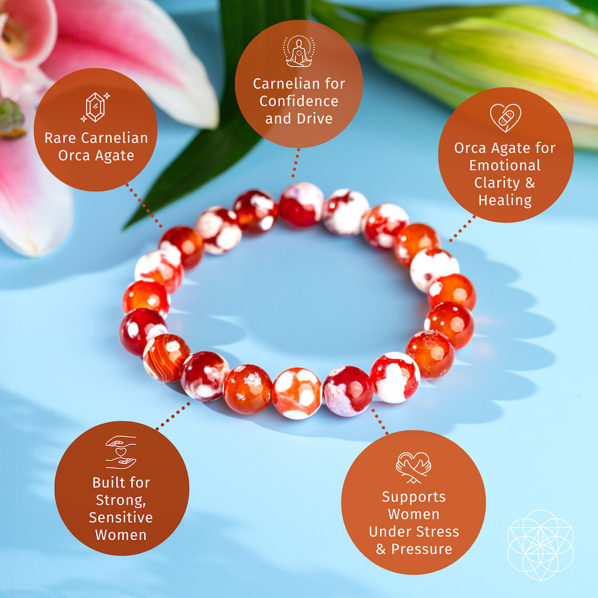 Feminine Force – Carnelian Orca Agate Bracelet | Bracelet | Wiccan Center