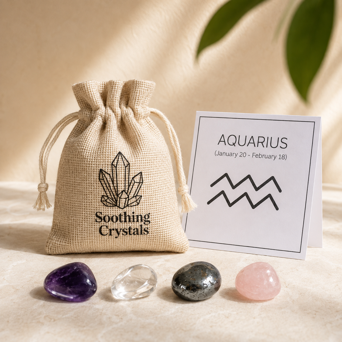 AQUARIUS Zodiac Crystal Kit, Aquarius Birthstones Tumbled Stones Set, Aquarius Gifts