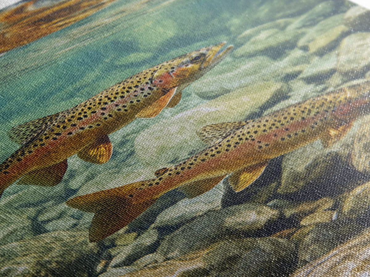 Vibrant Pair of Trout Framed Canvas Print Fly Fishing Art Rustic Wall Art Cottagecore Living Room Above Couch Cabin Decor