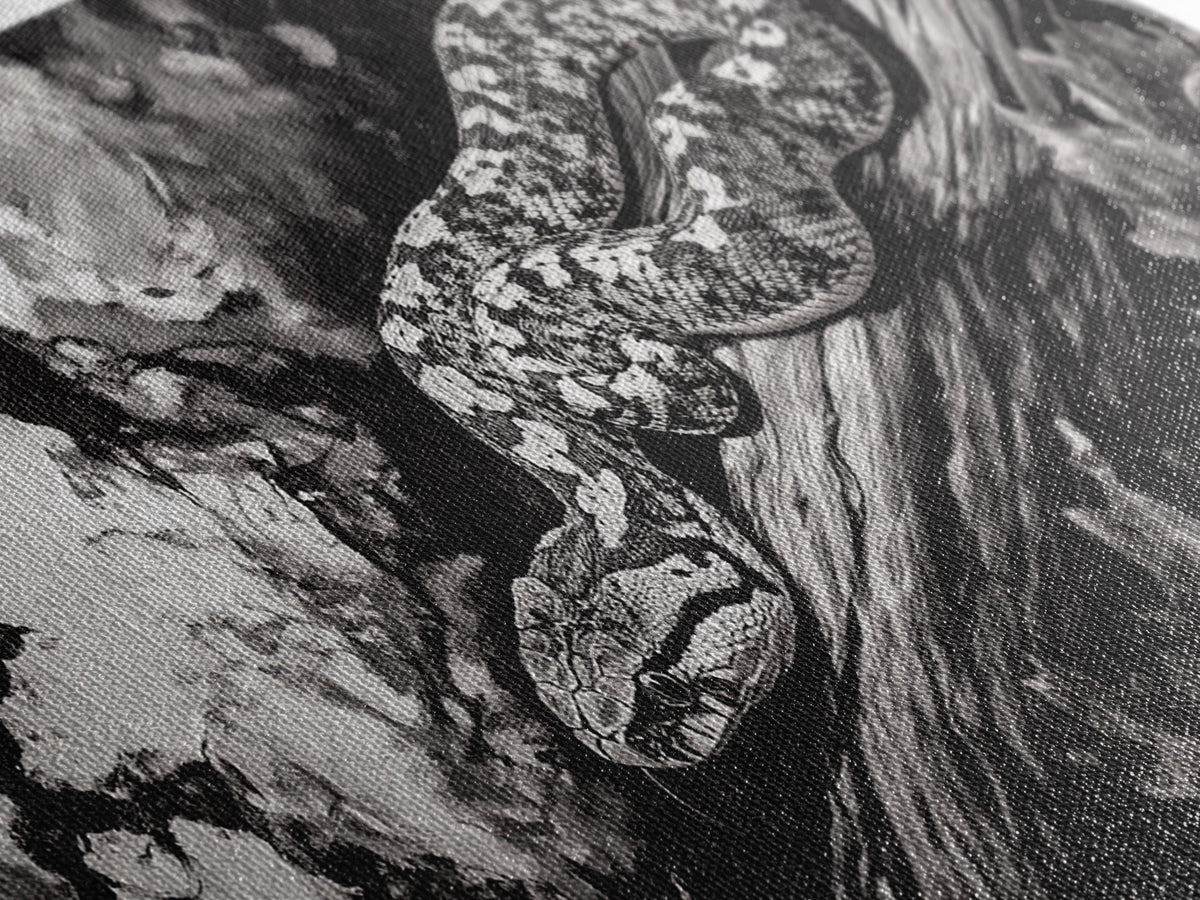 Timber Rattlesnake, Wildlife Artwork, Black and White Nature Art, Rustic Home Decor, Forest Animal Print, Living Room Art, Canvas Print