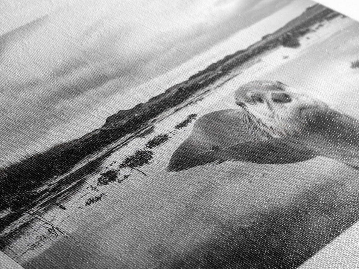 Curious Otter Wall Art, Wildlife Photography, Black and White Animal Canvas Print, Bathroom Decor, Whimsical Nature, Cottagecore Home Decor