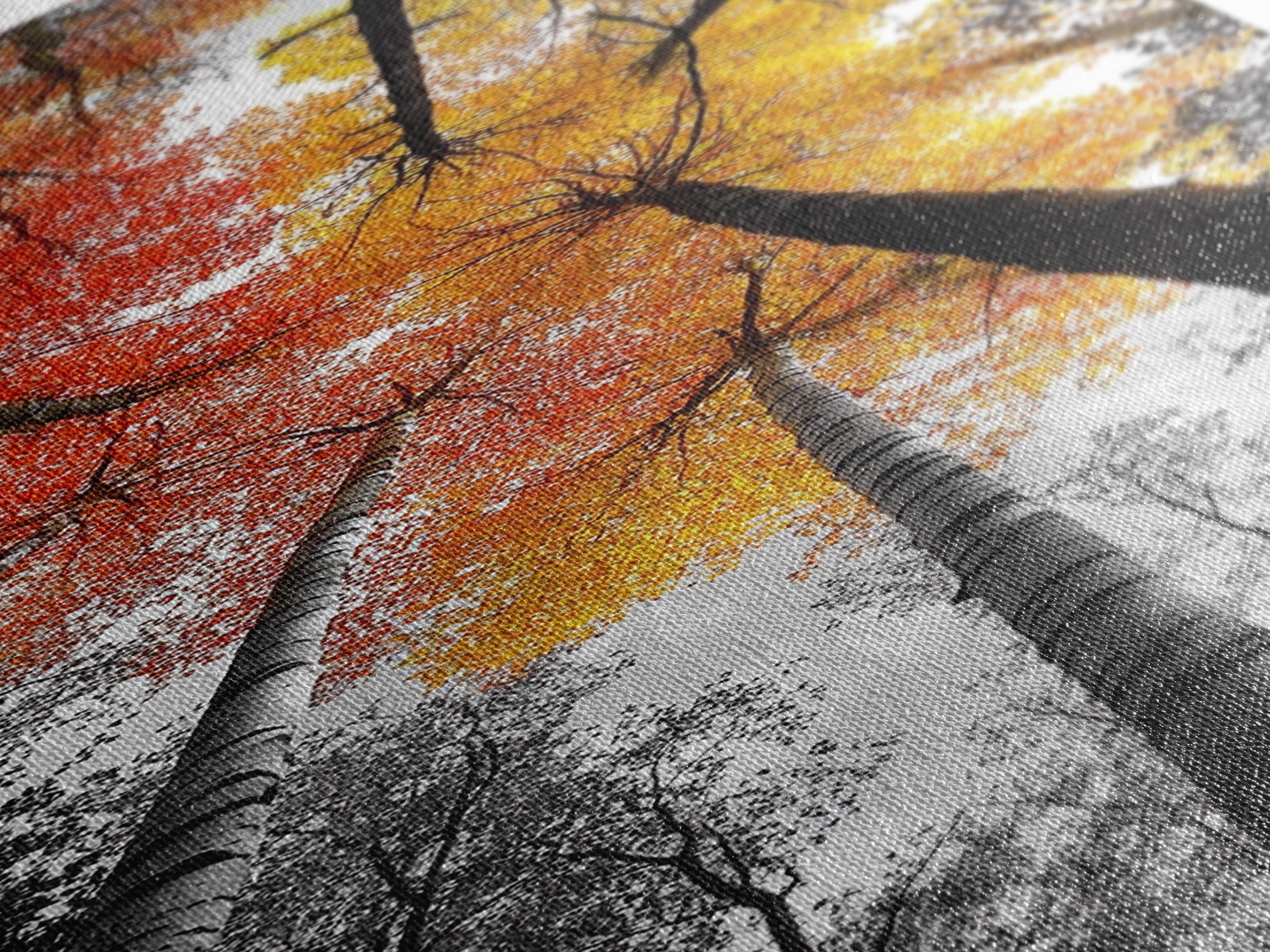 Autumn Trees, Birch Forest, Fall Canopy Print, Nature Photography, Canvas Print, Living Room Decor, Color Pop Wall Art, Forest Magic