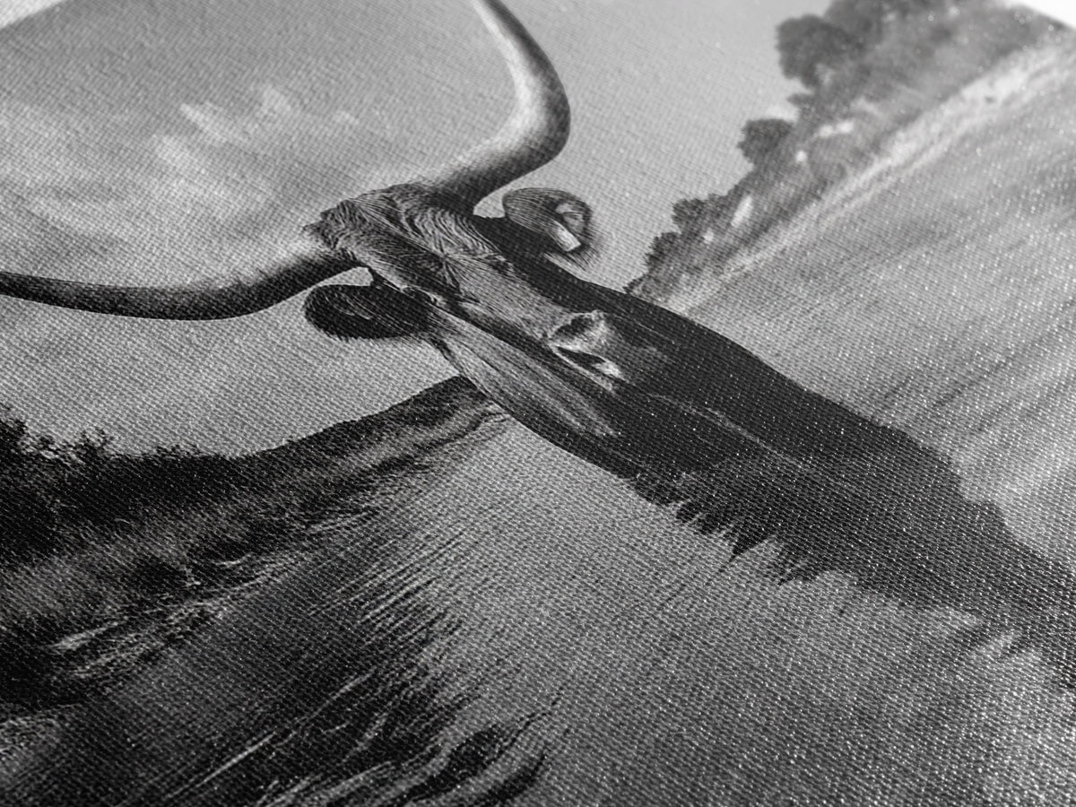 Longhorn in Water, rustic art, western decor, bull and bear art, cowboy wall art, farmhouse art, panoramic art, Framed Canvas Print