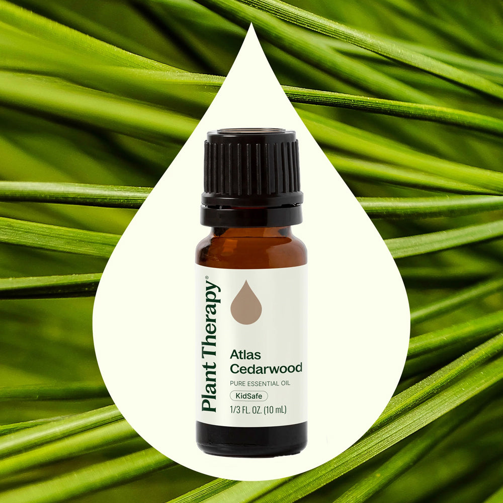 Plant Therapy Atlas Cedarwood Essential Oil 10 Ml