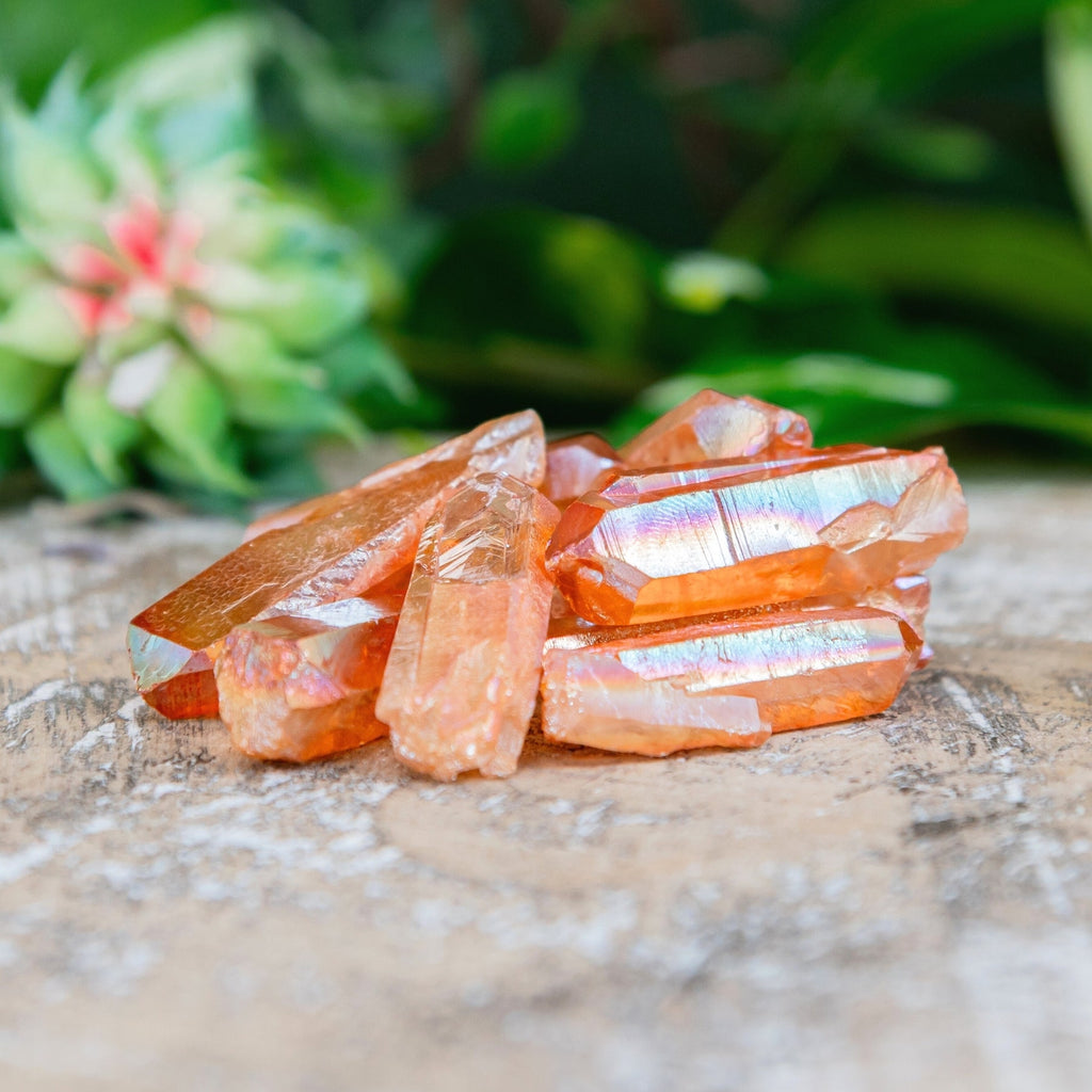 Tangerine Aura Quartz Crystal Point | Religious Items | Wiccan Center