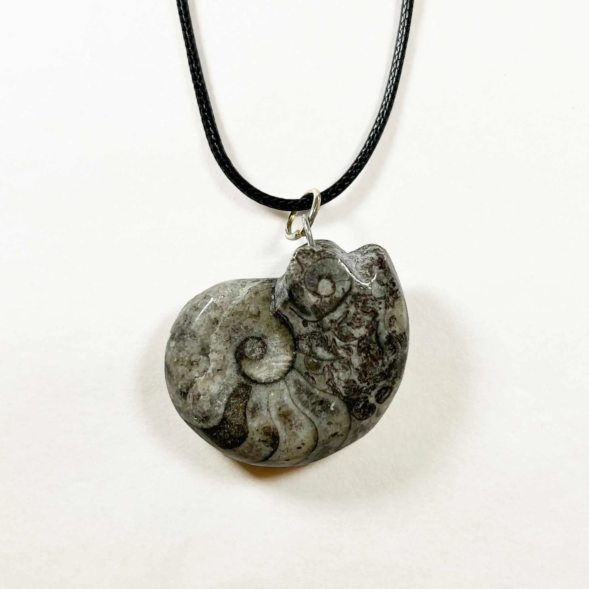 Ammonite/Goniatite Fossil Necklace | Pendants | Wiccan Center