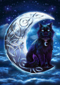 Celtic Black Cat Card | Cards - Brigid Ashwood | Wiccan Center