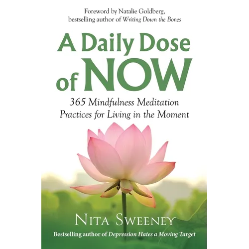 A Daily Dose of Now: 365 Mindfulness Meditation Practices for Living in the Moment - Paperback | Books | Wiccan Center