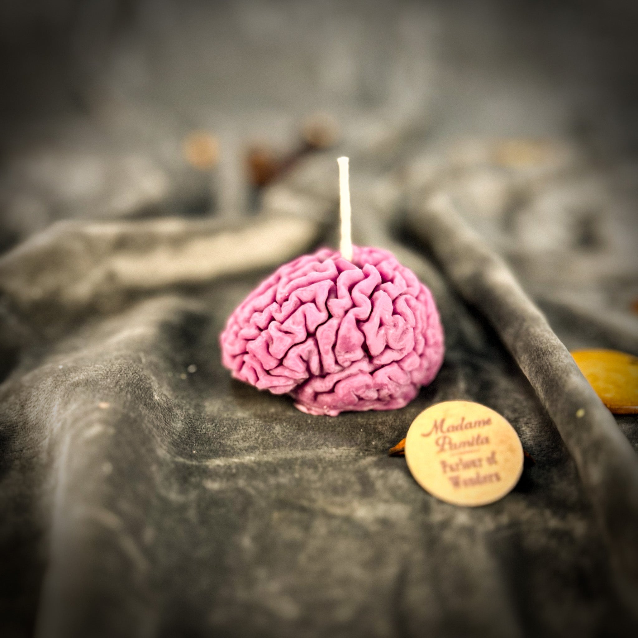 Brilliant Brain Candle Spell Kit - Mental Clarity & Focus | Candle Spell Kit | Wiccan Center