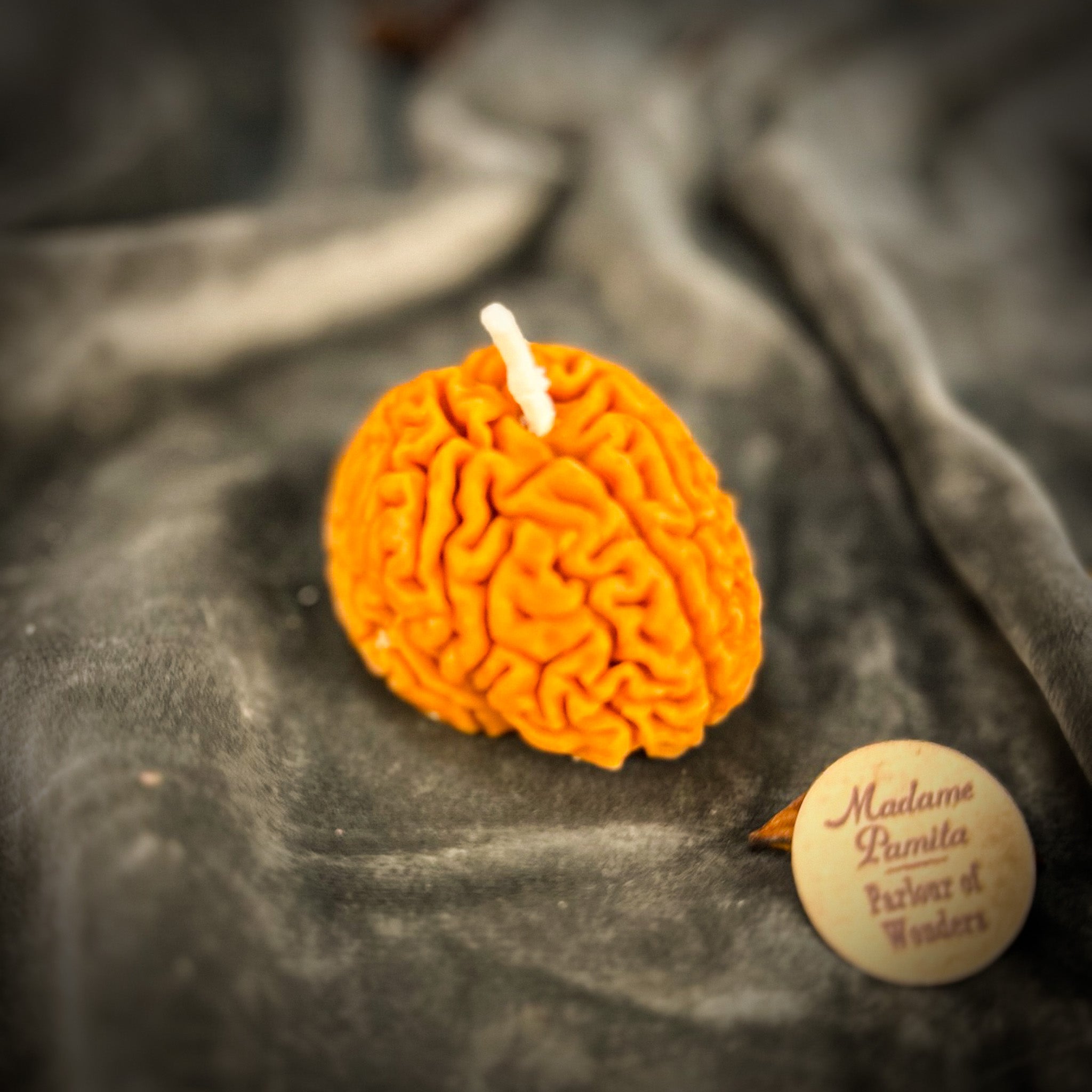 Brilliant Brain Candle Spell Kit - Mental Clarity & Focus | Candle Spell Kit | Wiccan Center
