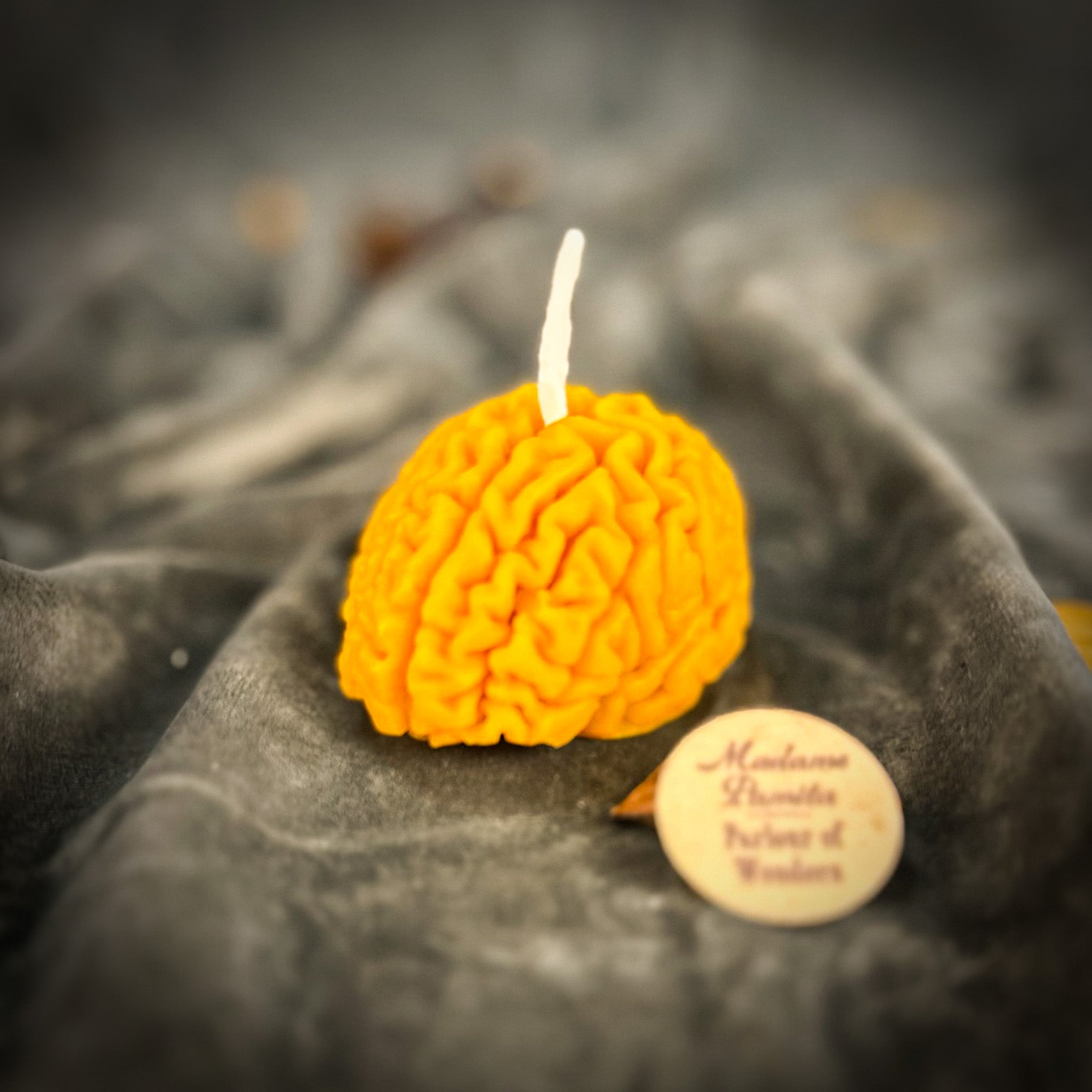 Brilliant Brain Candle Spell Kit - Mental Clarity & Focus | Candle Spell Kit | Wiccan Center