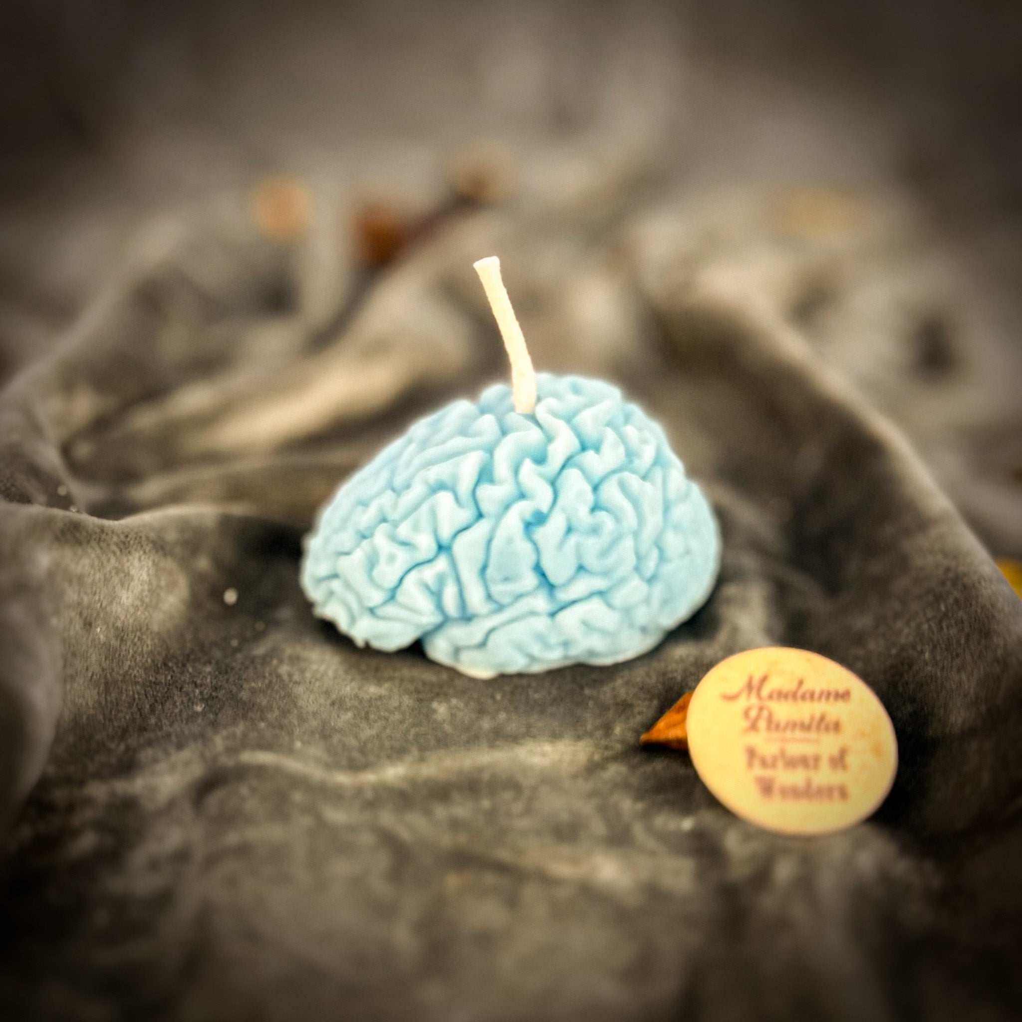 Brilliant Brain Candle Spell Kit - Mental Clarity & Focus | Candle Spell Kit | Wiccan Center