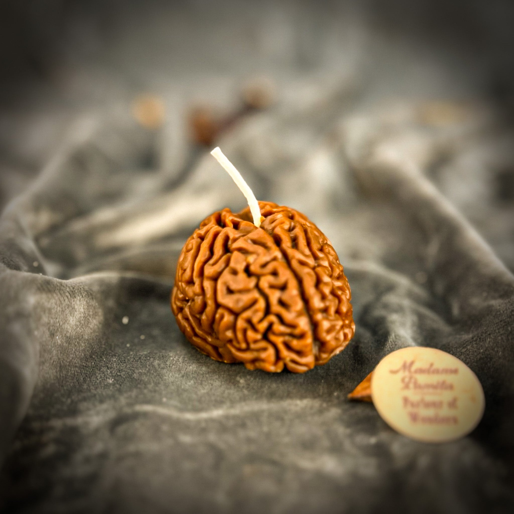 Brilliant Brain Candle Spell Kit - Mental Clarity & Focus | Candle Spell Kit | Wiccan Center