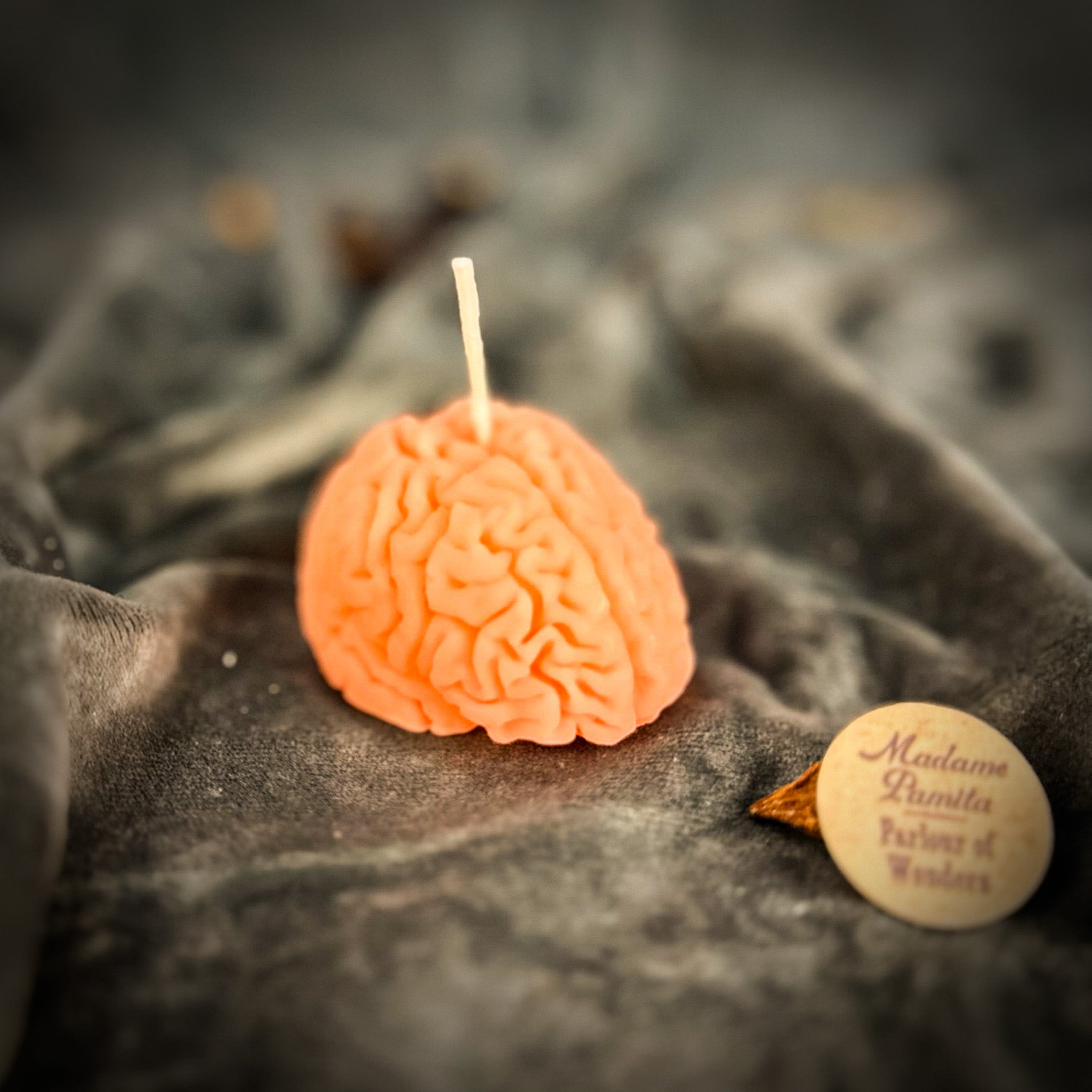 Brilliant Brain Candle Spell Kit - Mental Clarity & Focus | Candle Spell Kit | Wiccan Center