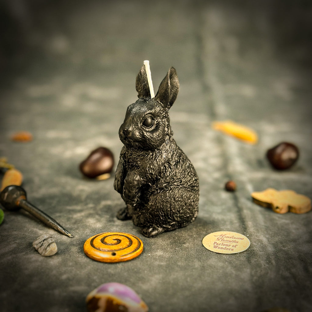 Enchanted Bunny Candle Spell Kit - Abundance & Quick Thinking Magic | Candle Spell Kit | Wiccan Center