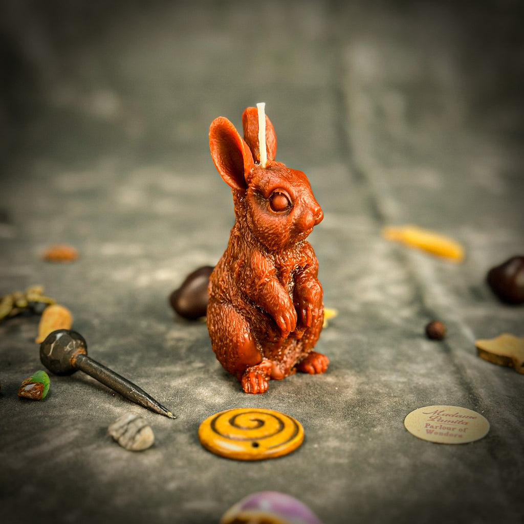 Enchanted Bunny Candle Spell Kit - Abundance & Quick Thinking Magic | Candle Spell Kit | Wiccan Center